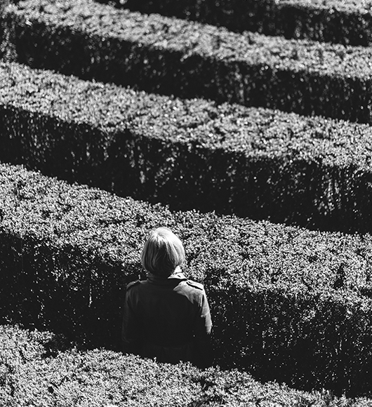 Encuentra tu propósito en la vida: Cómo dejar de sentirte perdida